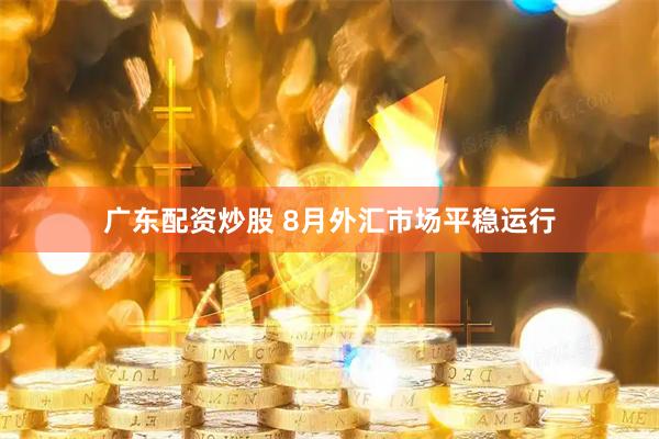 广东配资炒股 8月外汇市场平稳运行